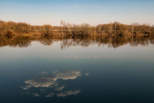 Serene natural landscape with still water reflecting trees